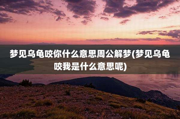 梦见乌龟咬你什么意思周公解梦(梦见乌龟咬我是什么意思呢)