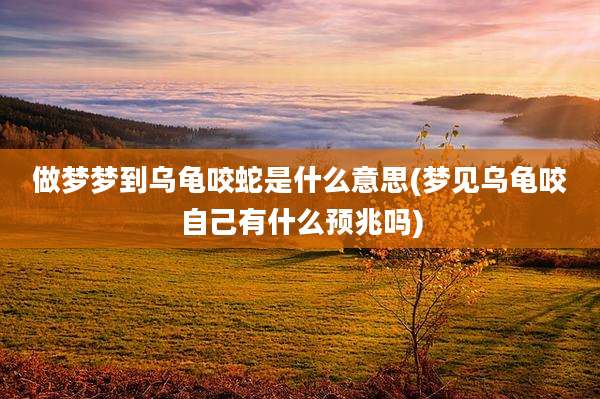 做梦梦到乌龟咬蛇是什么意思(梦见乌龟咬自己有什么预兆吗)