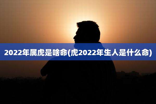 2022年属虎是啥命(虎2022年生人是什么命)