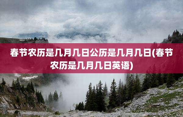 春节农历是几月几日公历是几月几日(春节农历是几月几日英语)