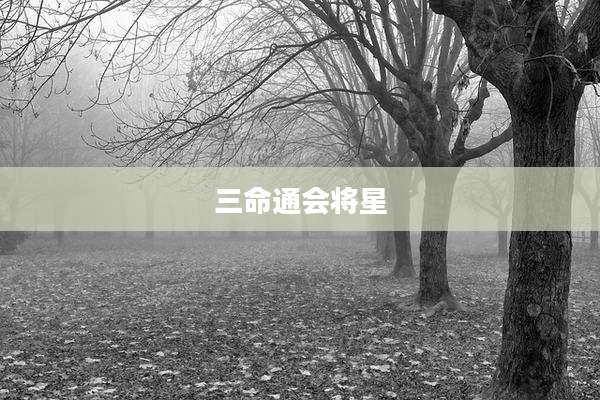 三命通会将星