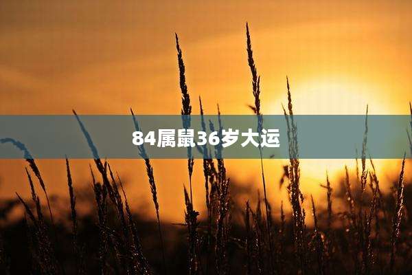 84属鼠36岁大运