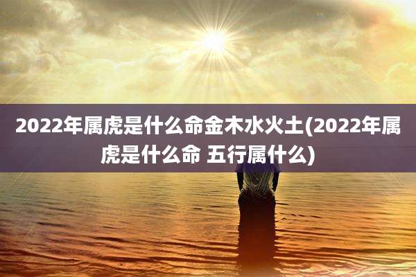 2022年属虎是什么命金木水火土(2022年属虎是什么命 五行属什么)