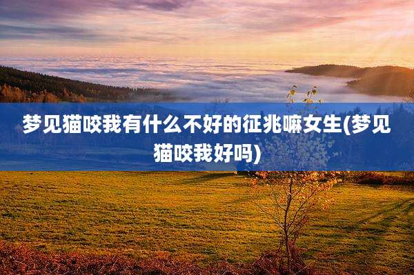 梦见猫咬我有什么不好的征兆嘛女生(梦见猫咬我好吗)