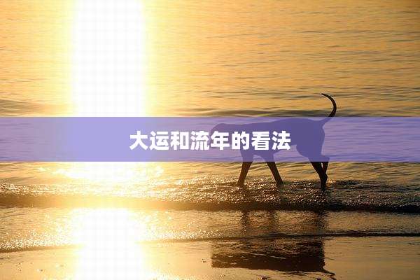 大运和流年的看法