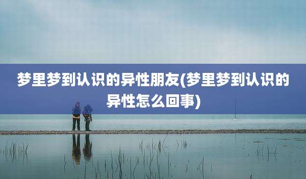 梦里梦到认识的异性朋友(梦里梦到认识的异性怎么回事)