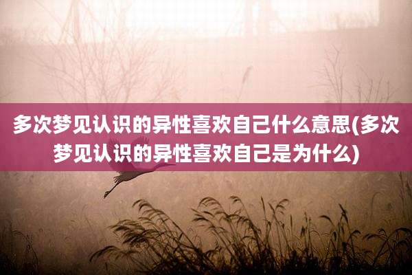 多次梦见认识的异性喜欢自己什么意思(多次梦见认识的异性喜欢自己是为什么)