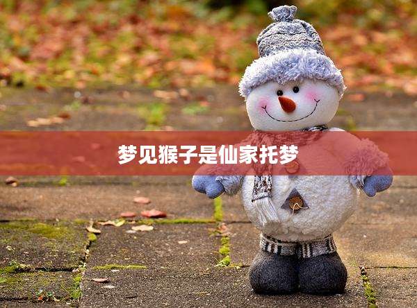 梦见猴子是仙家托梦