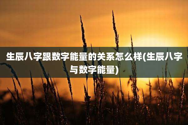 生辰八字跟数字能量的关系怎么样(生辰八字与数字能量)
