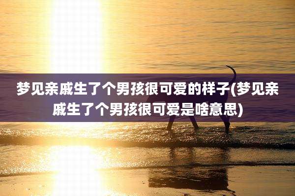 梦见亲戚生了个男孩很可爱的样子(梦见亲戚生了个男孩很可爱是啥意思)