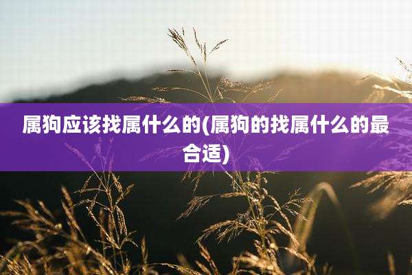 属狗应该找属什么的(属狗的找属什么的最合适)