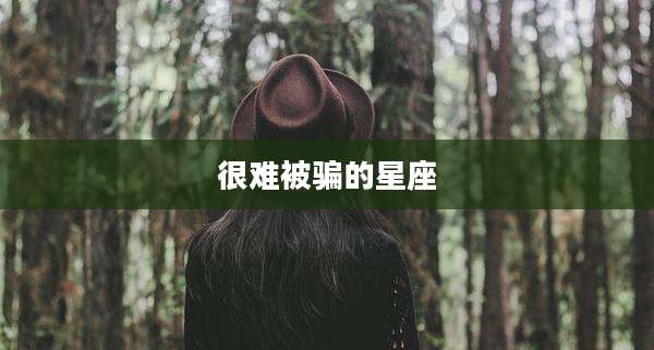 很难被骗的星座