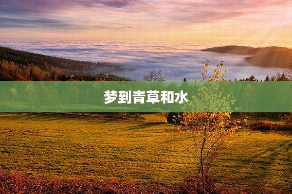 梦到青草和水