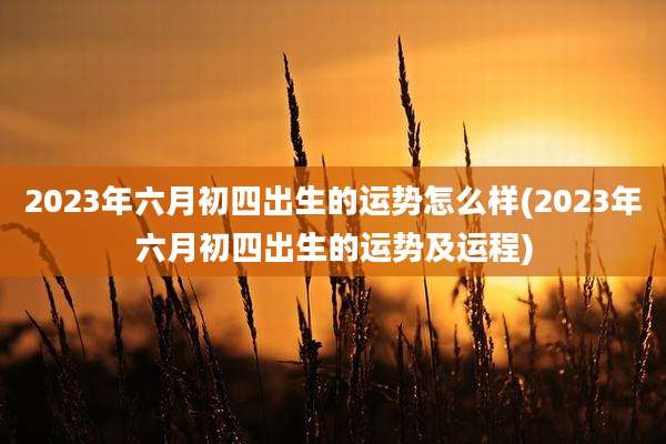 2023年六月初四出生的运势怎么样(2023年六月初四出生的运势及运程)