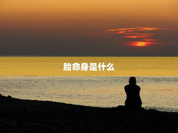 胎命身是什么