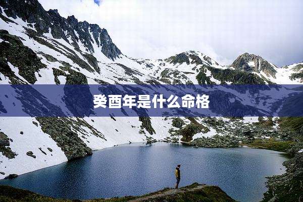 癸酉年是什么命格