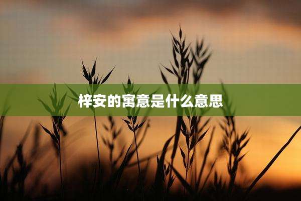 梓安的寓意是什么意思
