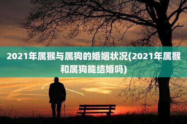 2021年属猴与属狗的婚姻状况(2021年属猴和属狗能结婚吗)