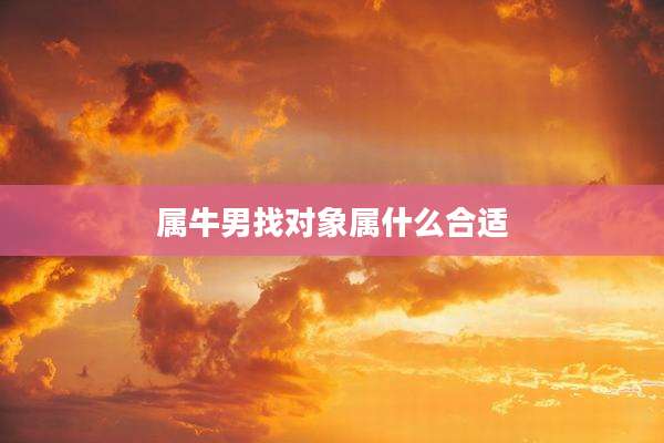 属牛男找对象属什么合适