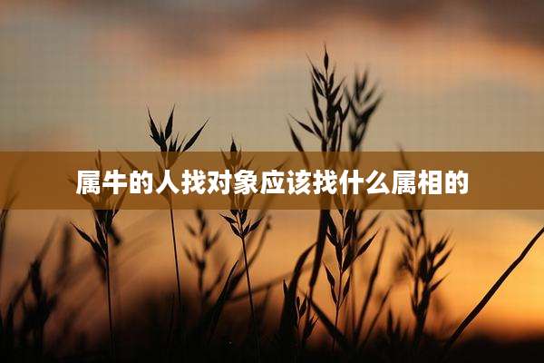 属牛的人找对象应该找什么属相的