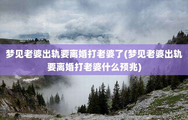 梦见老婆出轨要离婚打老婆了(梦见老婆出轨要离婚打老婆什么预兆)