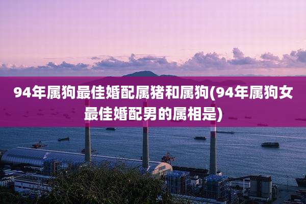 94年属狗最佳婚配属猪和属狗(94年属狗女最佳婚配男的属相是)