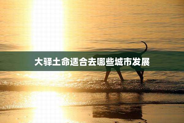 大驿土命适合去哪些城市发展