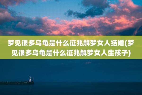 梦见很多乌龟是什么征兆解梦女人结婚(梦见很多乌龟是什么征兆解梦女人生孩子)