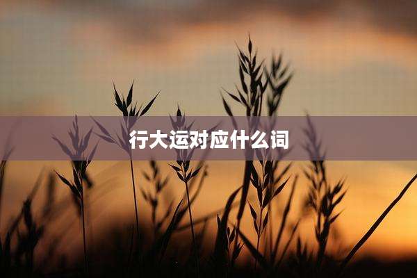 行大运对应什么词