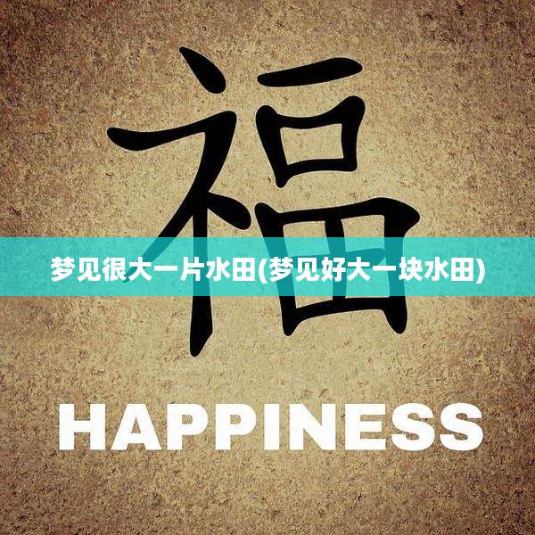梦见很大一片水田(梦见好大一块水田)