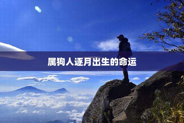 属狗人逐月出生的命运