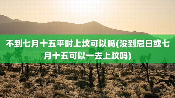 不到七月十五平时上坟可以吗(没到忌日或七月十五可以一去上坟吗)