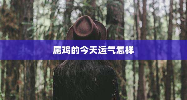 属鸡的今天运气怎样