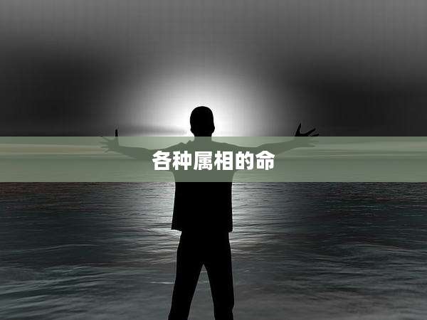 各种属相的命