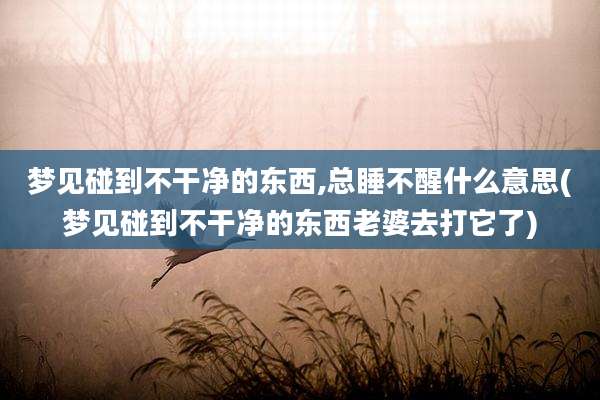 梦见碰到不干净的东西,总睡不醒什么意思(梦见碰到不干净的东西老婆去打它了)