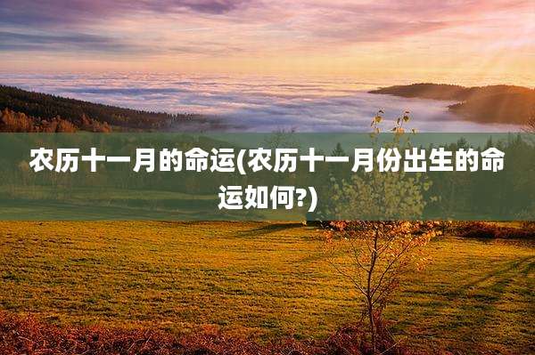 农历十一月的命运(农历十一月份出生的命运如何?)