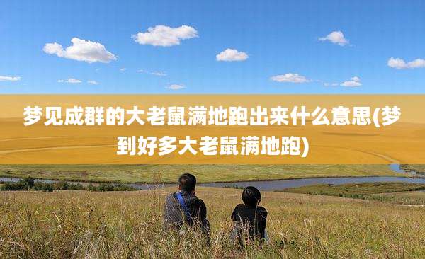 梦见成群的大老鼠满地跑出来什么意思(梦到好多大老鼠满地跑)