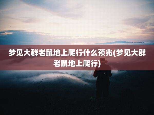 梦见大群老鼠地上爬行什么预兆(梦见大群老鼠地上爬行)