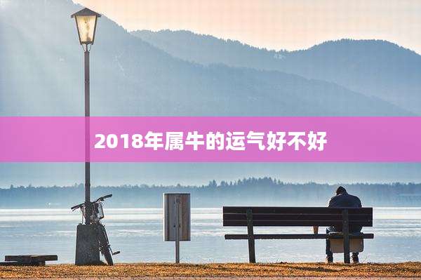 2018年属牛的运气好不好