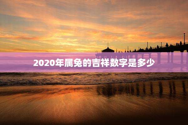2020年属兔的吉祥数字是多少