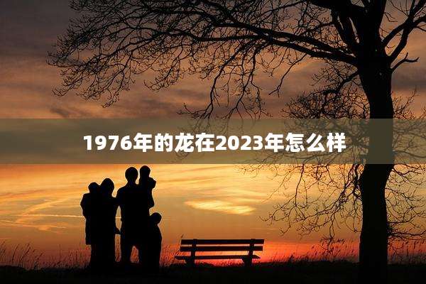 1976年的龙在2023年怎么样