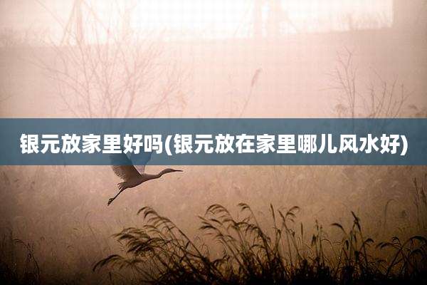 银元放家里好吗(银元放在家里哪儿风水好)