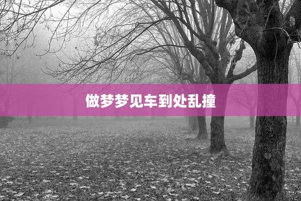 做梦梦见车到处乱撞