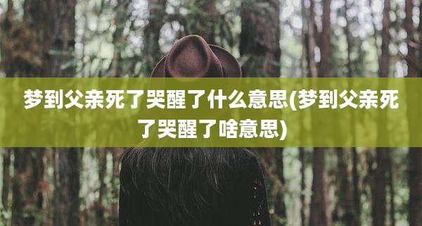 梦到父亲死了哭醒了什么意思(梦到父亲死了哭醒了啥意思)