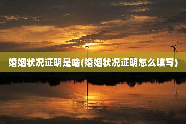 婚姻状况证明是啥(婚姻状况证明怎么填写)