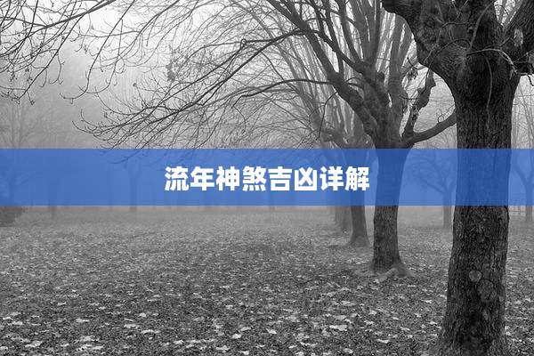 流年神煞吉凶详解