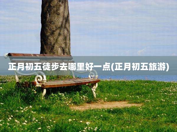 正月初五徒步去哪里好一点(正月初五旅游)