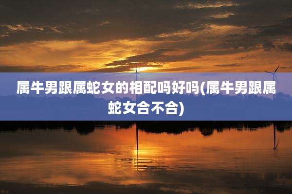 属牛男跟属蛇女的相配吗好吗(属牛男跟属蛇女合不合)