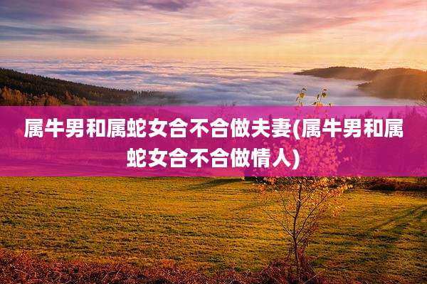 属牛男和属蛇女合不合做夫妻(属牛男和属蛇女合不合做情人)