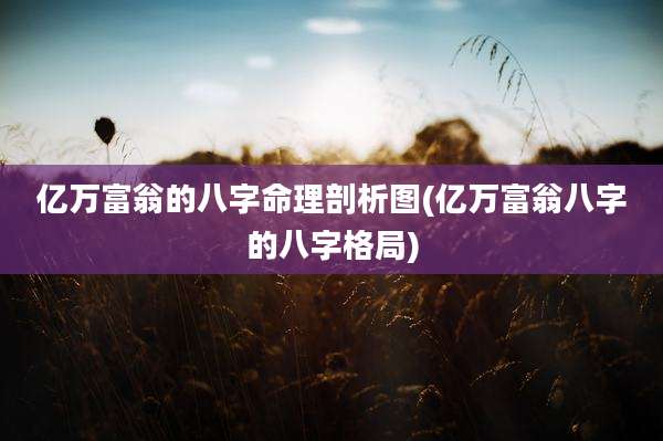 亿万富翁的八字命理剖析图(亿万富翁八字的八字格局)